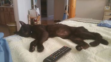 Ahhh...the good life!!!