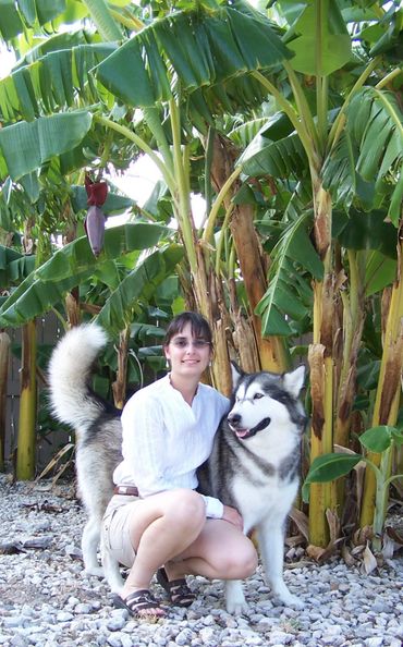 Where to buy pets
Local pet adoption centers
Reputable pet breeders
Colorado