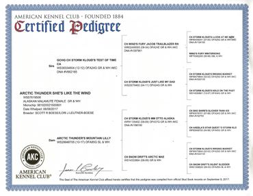 Alaskan malamute pedigree, champion dogs, working dogs