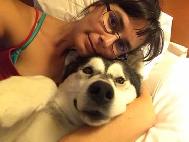 Alaskan malamute love, Texas, NM, Arizona, Oklahoma, Colorado, El Paso, Las Cruces, Las Vegas