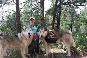 Alaskan Malamute breeders with health guarantees
backpacking breeds, working breeds, sledding