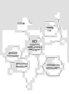 Barium Base Inoculant, Strontium Base Inoculant, FeSiMg,FeSiMg LA,Zirconium Inoculant