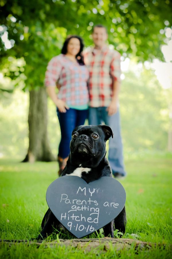 engagement photos, engagement photography, wedding photos, wedding photography, wedding photographer