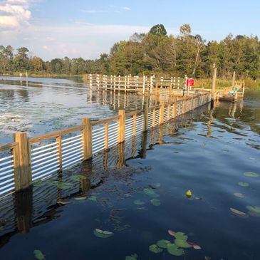 lake seminole carp gates
