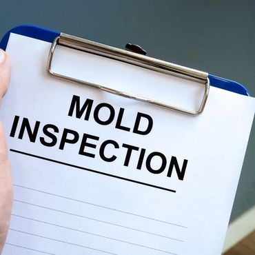 Home inspection, home inspector, wind mitigation, insurance, 4 point, four point, mold, radon, roof