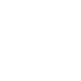 Red Dog Digital Logo