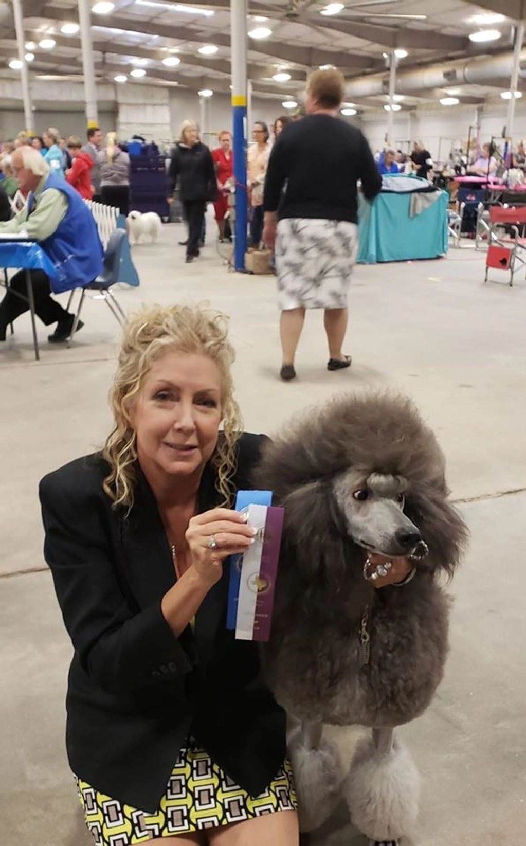 Silver Standard poodle at a dog show
Argan's What Dreams Are Made Of aka Bella