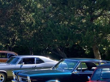 A lineup of classic vintage cars parked on grass under trees on a sunny day.