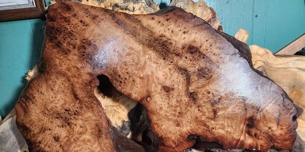 Myrtle wood Burl Slab