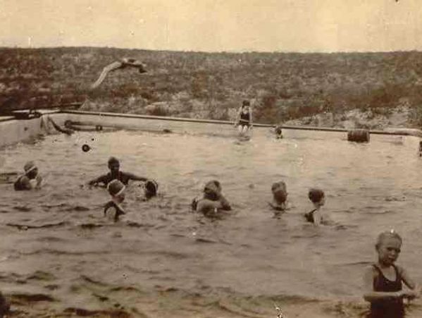 Children swimming in a pool with a bird flying overhead.