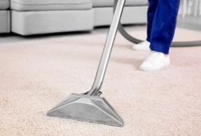 Steam Cleaning Regularly to keep dust mites, bed bugs and control those nasty allergies !