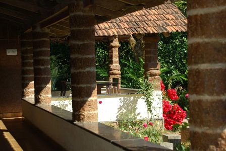 View from homestay rooms.