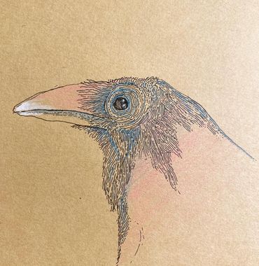 “The Coffeetable Book Blemish” 5x7 kraft paper by Ari Cebollero, ink, color pencil