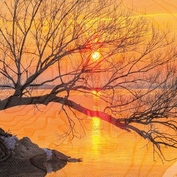 Photo of tree branches leaning over Lake Mendota with the setting sun in orange, yellow, pink and pu