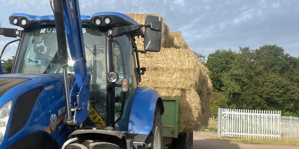 Freshly baled hay loaded on a trailer and tractor