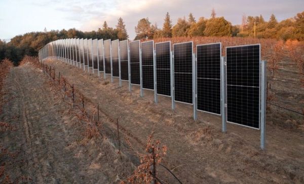 vertical solar panel, agrivoltaics, agriculture
