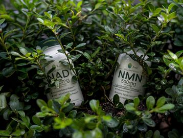 Two supplement bottles labeled NAD+ and NMN among green foliage.