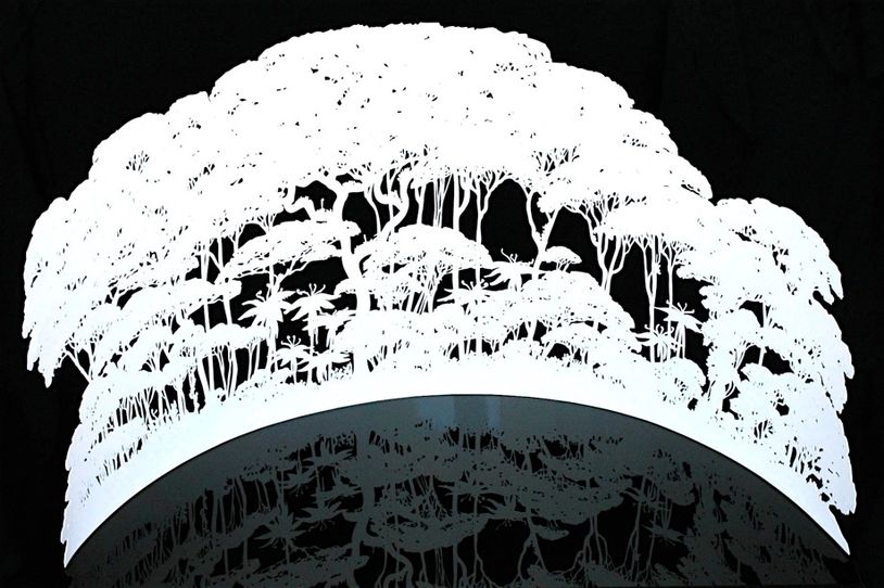 Intricately cut paper art of a forest scene with trees and animals.