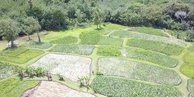 crédit photo : mata OaOa