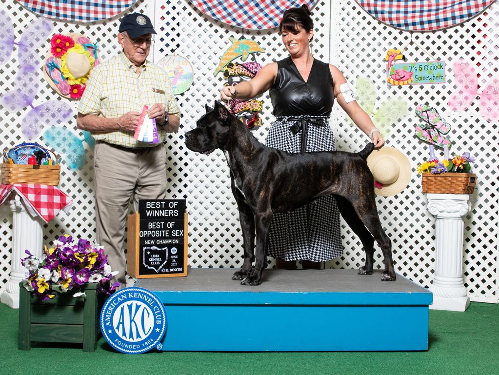 Dog show winner posing with handler and judge.