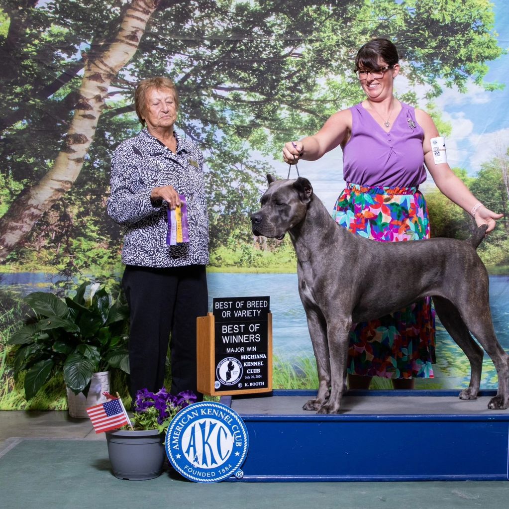 Woman and judge with best of breed dog at a dog show.