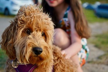 Travel photography, family, holiday, pet friendly holiday