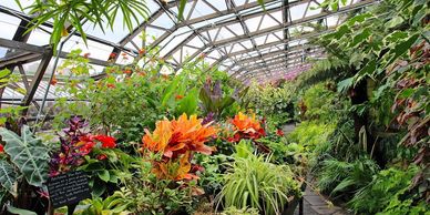 Inverness botanic garden