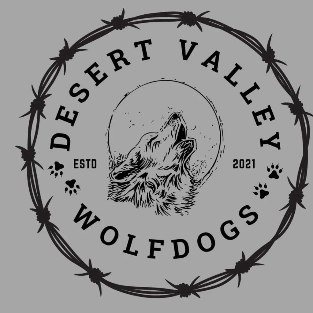 Logo of Desert Valley Wolfdogs with a howling wolf and barbed wire circle.
