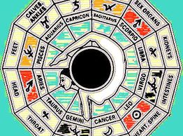 medical astrology associatons for the parts of the body effected by the signs and planets