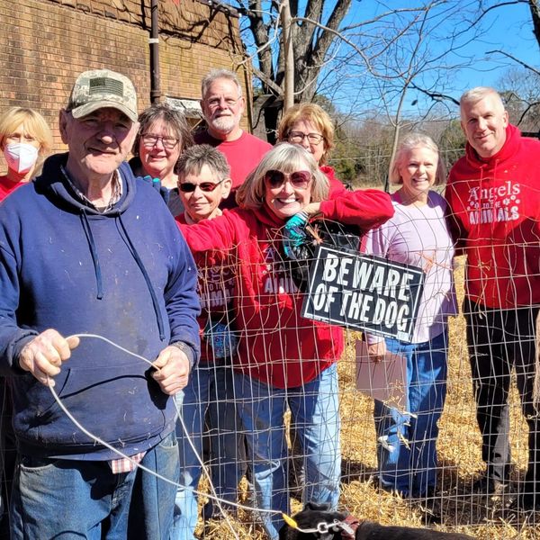 On-site cleanup for Buck! Great work volunteers!