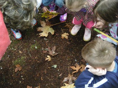 exploring nature at Natural Start Preschool in Bellevue WA