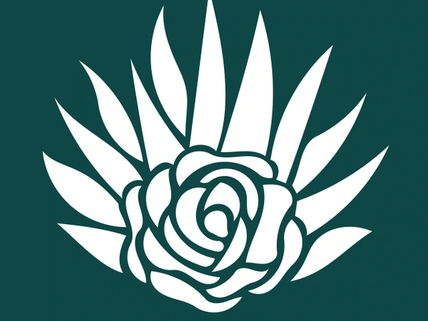 White rose with leaves on dark green background graphic.