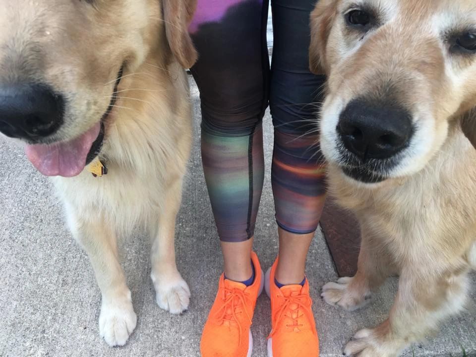 austin dog walking + austin pet sitting: the sporty dog