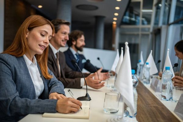 Professionals in a boardroom meeting