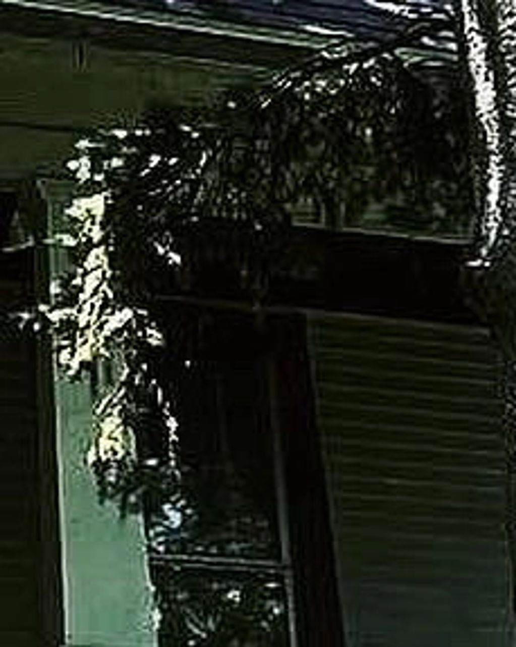 After picture of a hoarders clearout in Davenport iowa, it felt good to help them