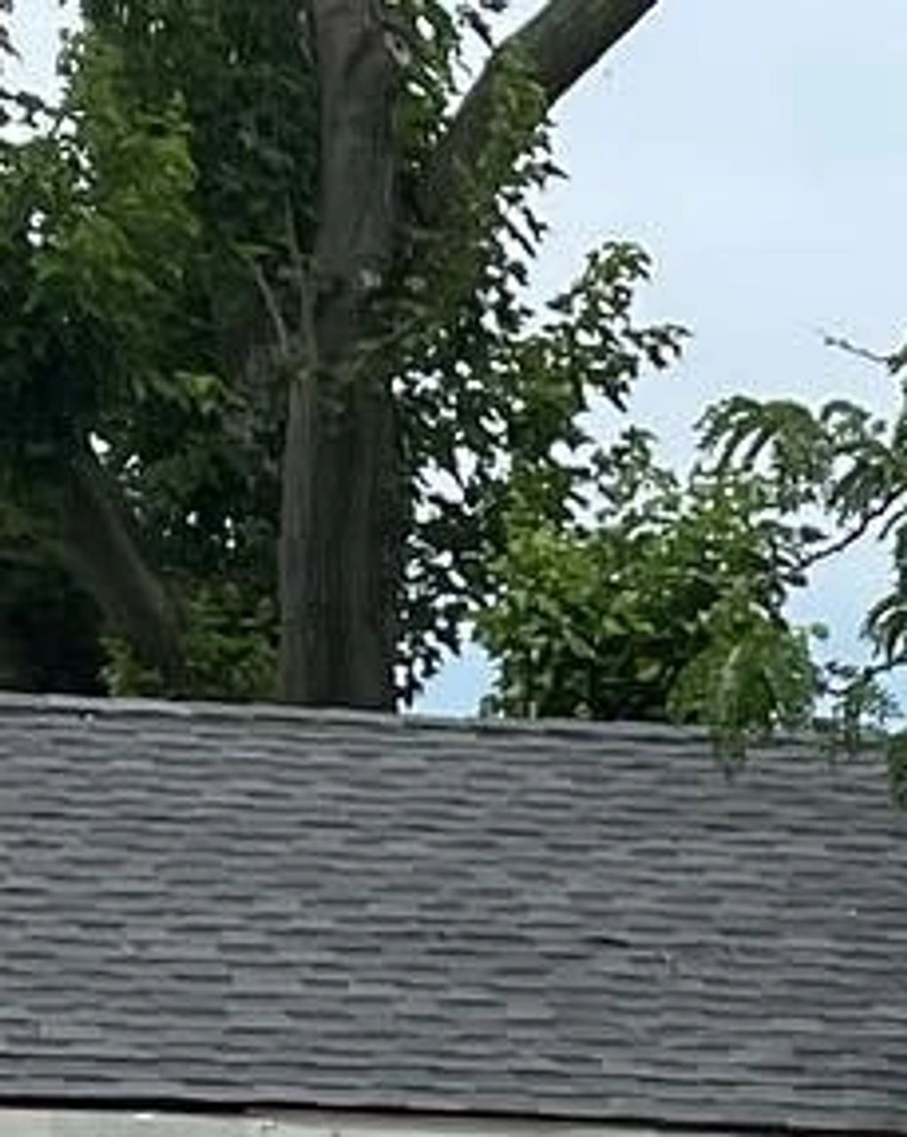 Curbside pickup in moline Illinois