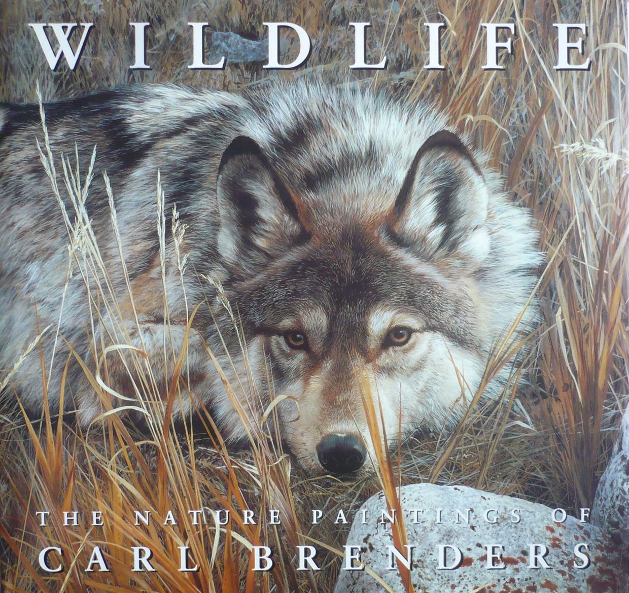 WILDLIFE: THE NATURE PAINTINGS OF CARL BRENDERS