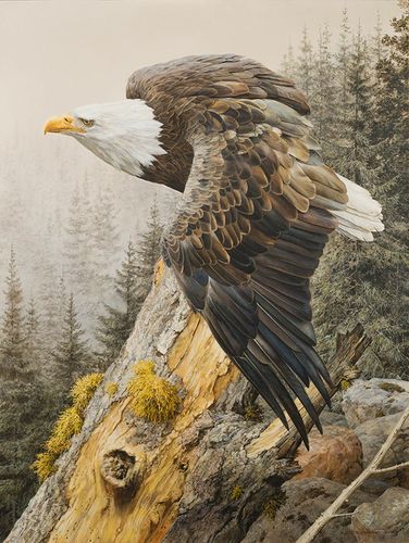 American On The Rise
46th annual Birds in Art exhibition 2021, on view Saturday, September 11 throug