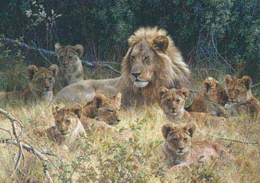 LION WITH CUBS
