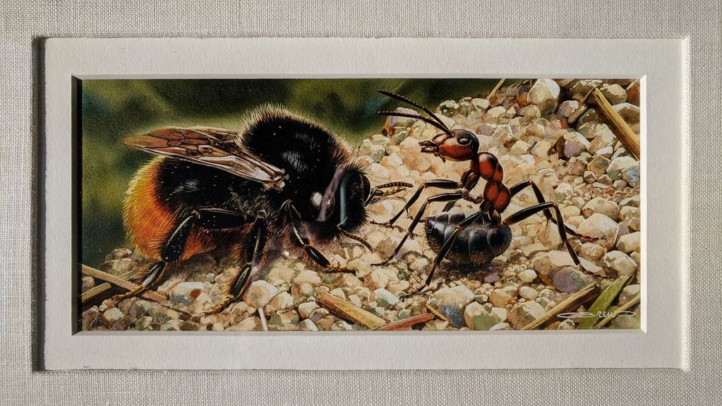 Wood Ant and Bumble Bee Original painting