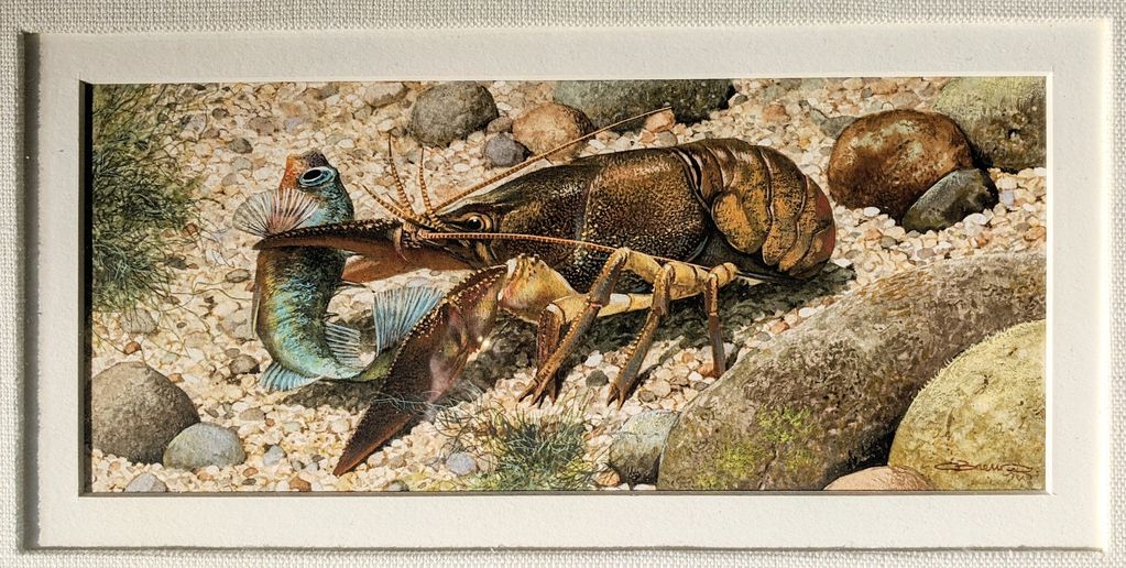 Stickleback and Crayfish original painting