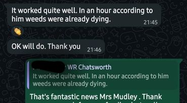 Screenshot of a WhatsApp conversation about weed control success.