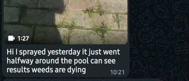Message about spraying weeds near a pool with visible dying weeds.