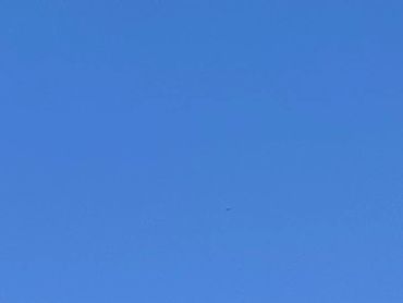 Houston tow truck service