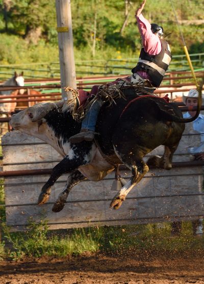 meadow vue ranch rodeo dinner restaurant horse camp bull riding