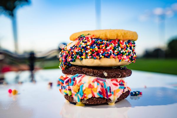 ice cream sandwiches scoops sprinkles cookies sweets treats dessert