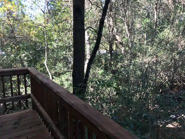 view from the yoga tree hosue veranda