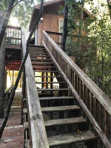 yoga tree house