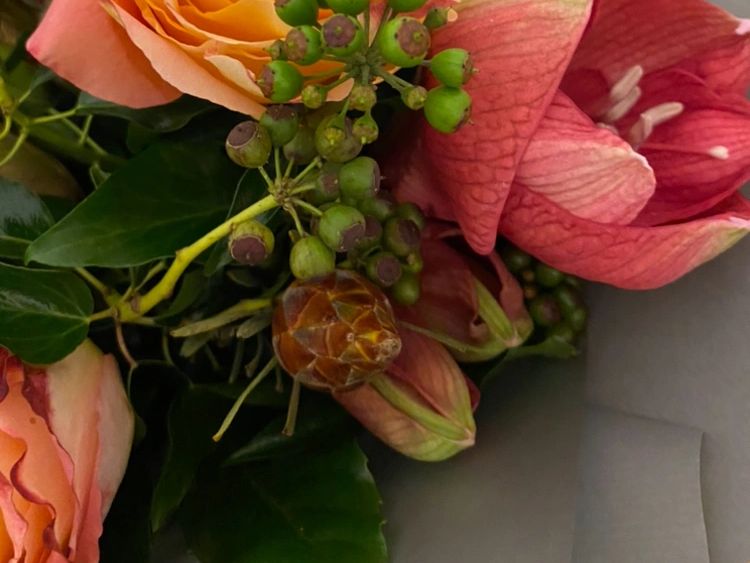 Hot coloured winter flower bouquet with free spirit roses and amaryllis with flowering ivy.