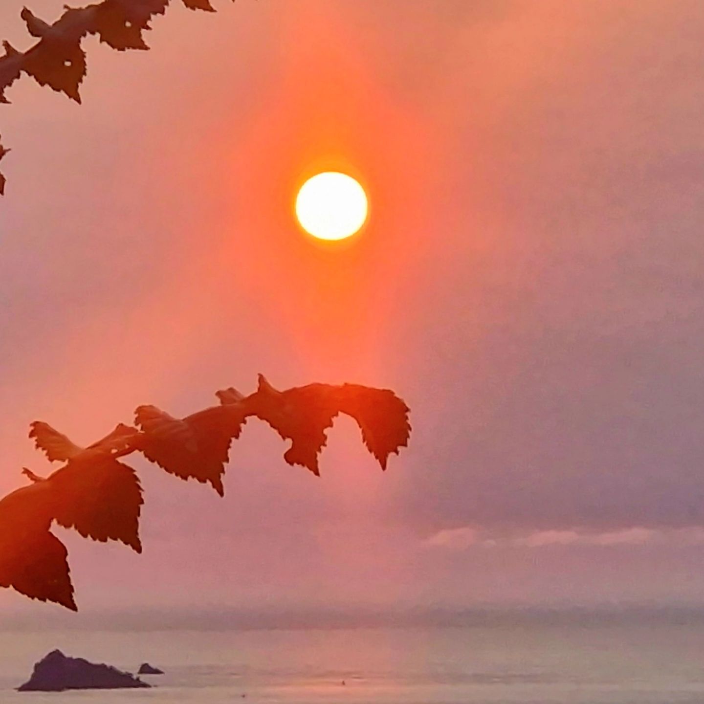 Rose Gold Sunrise